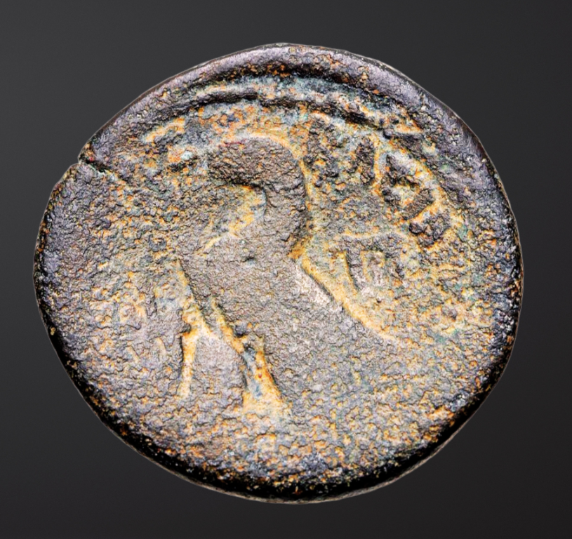 Moeda Ptolemaica Rara Diobol de Cleópatra VII (51-30 aC) – imagem 2