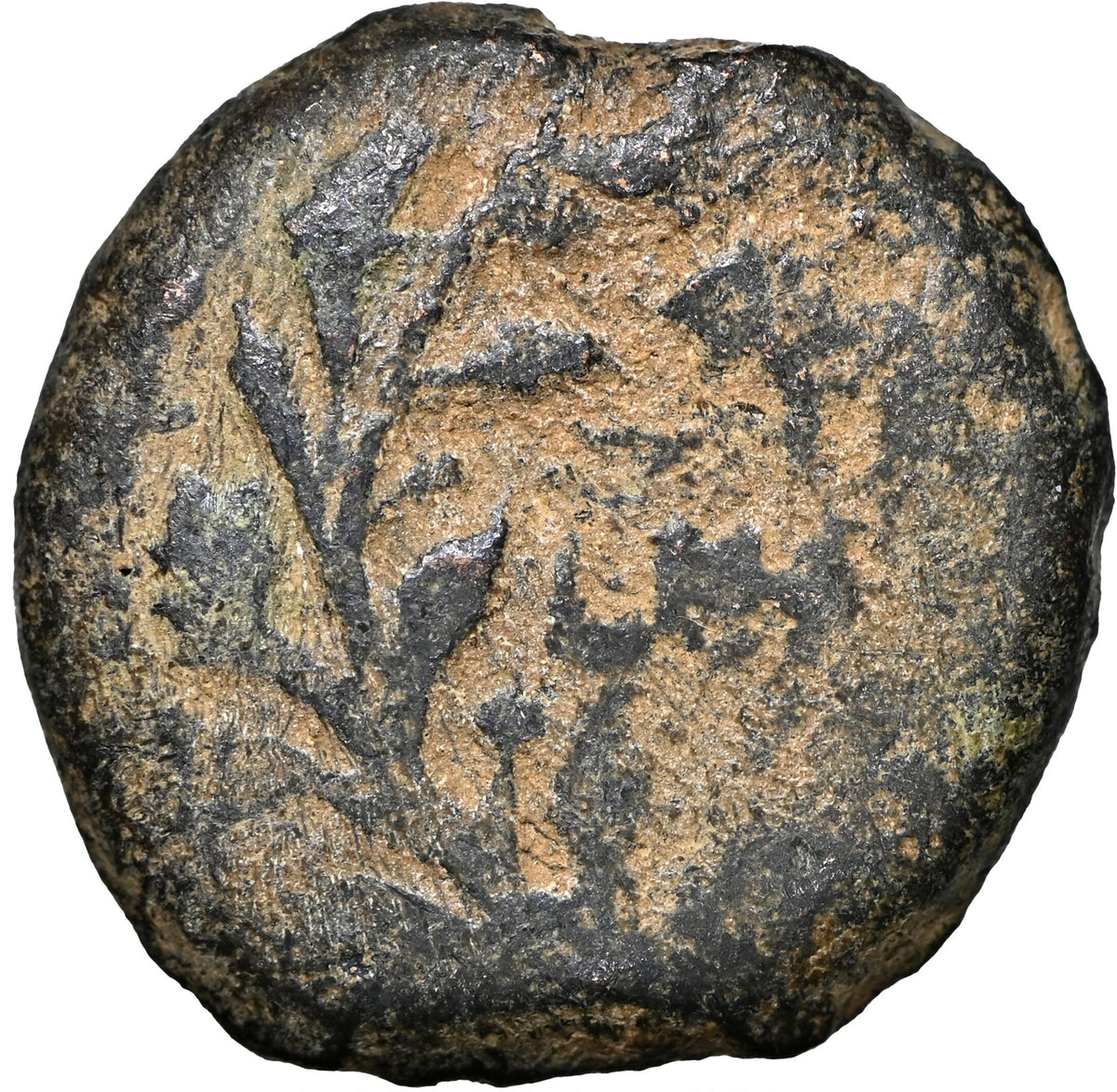 Moeda Bíblica de Pôncio Pilatos da Judaea (31 dC) Certificada NGC – imagem 4