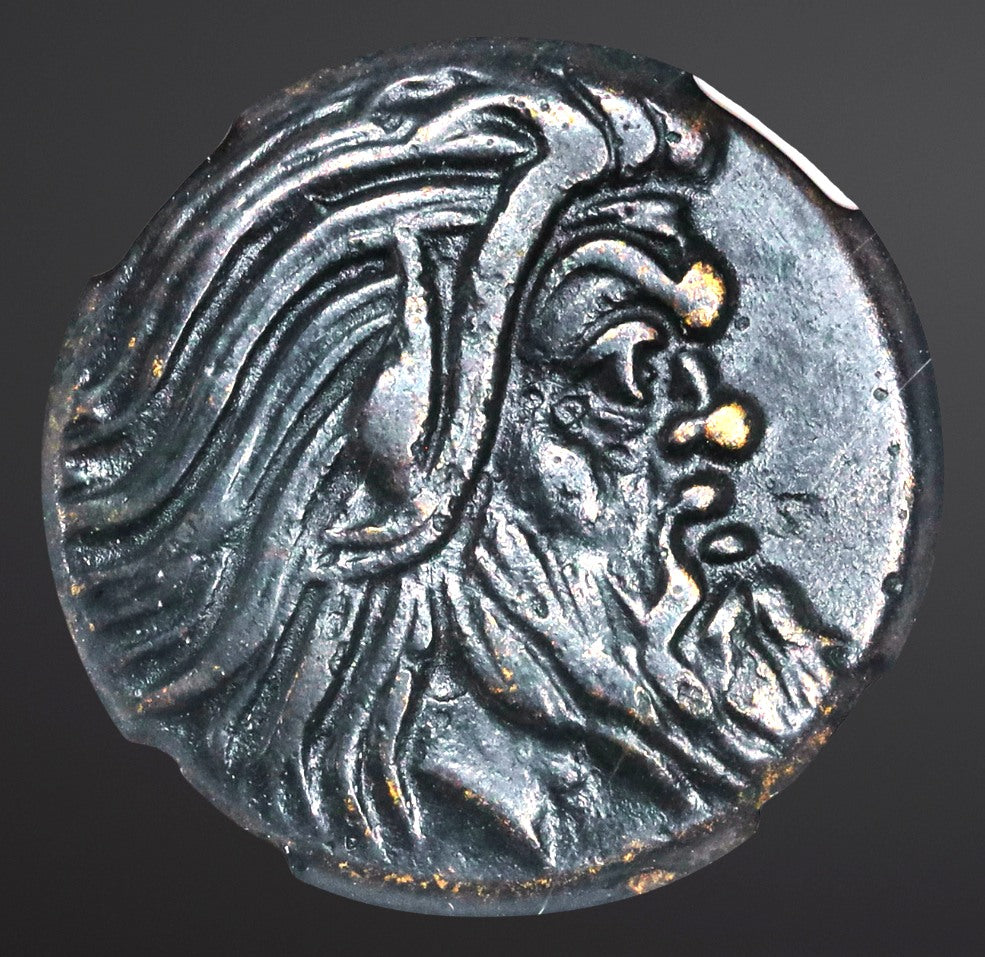 Moeda Grega escassa do Reino do Bósforo de Pantikapaion (310-304/3 a.C.) – imagem 2