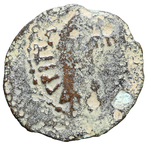 Moeda judia "Bíblica" de Agrippa I (37-43 CE). Dinastia Herodiana. – imagem 2