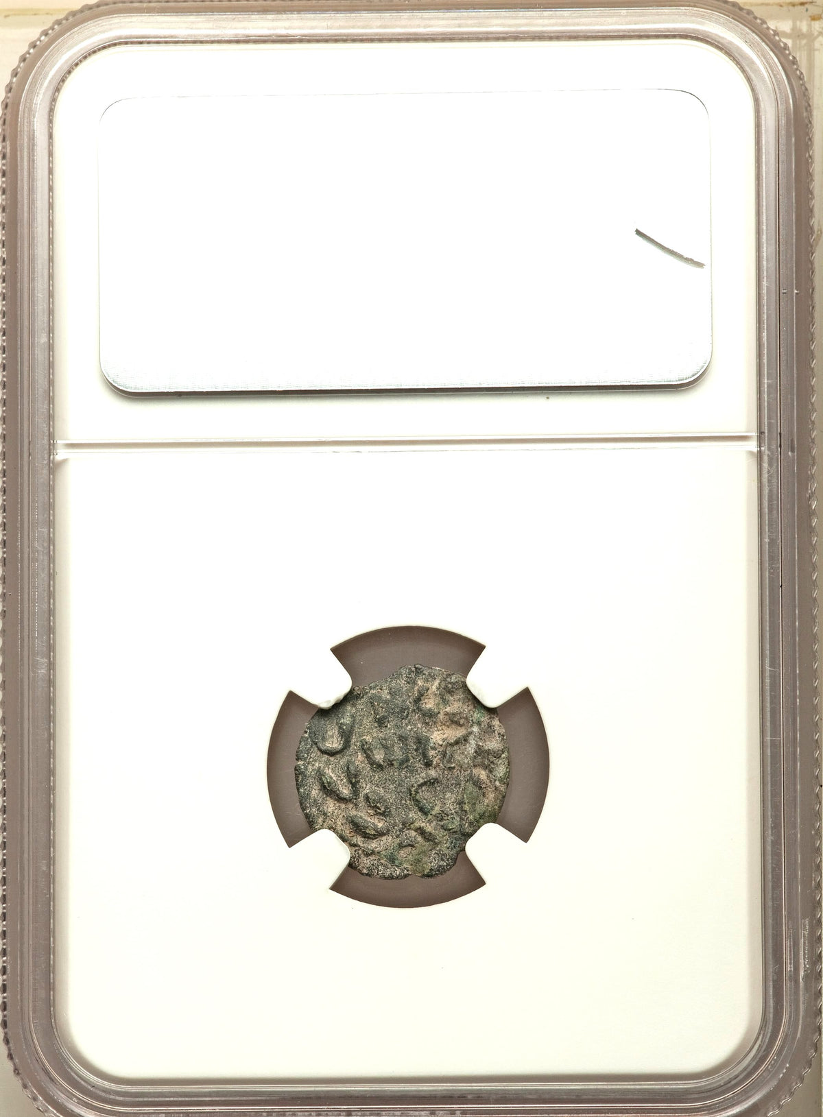 Moeda Bíblica Prutá de Porcius Festus sob Nero (59-63 dC) Certificada NGC – imagem 4