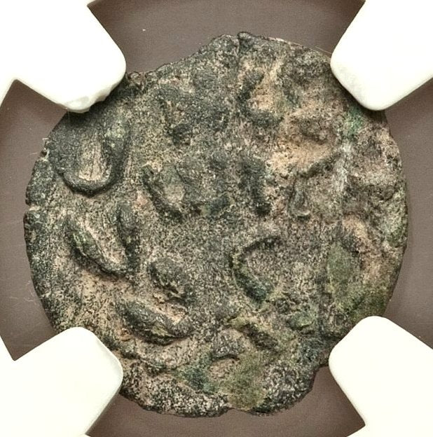 Moeda Bíblica Prutá de Porcius Festus sob Nero (59-63 dC) Certificada NGC – imagem 2
