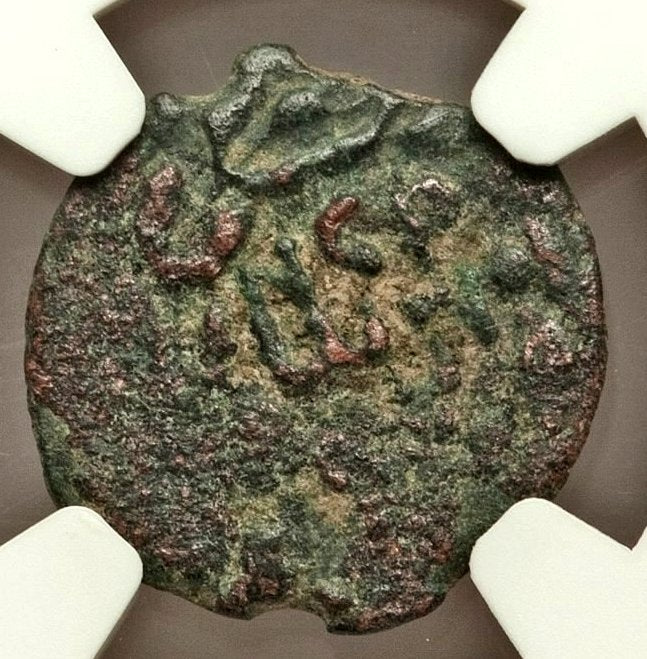 Moeda Bíblica Prutá de Porcius Festus sob Nero (59-63 dC) Certificada NGC – imagem 2