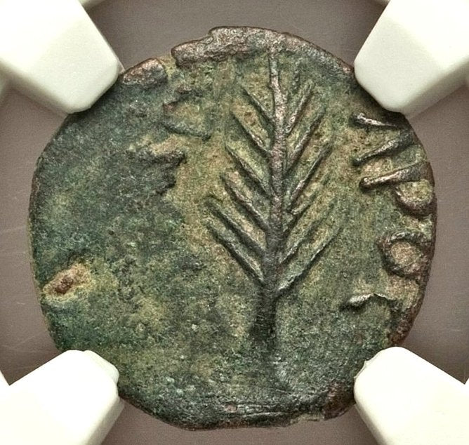 Moeda Bíblica Prutá de Porcius Festus sob Nero (59-63 dC) Certificada NGC – imagem 1