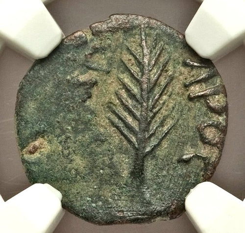 Moeda Bíblica Prutá de Porcius Festus sob Nero (59-63 dC) Certificada NGC – imagem 1
