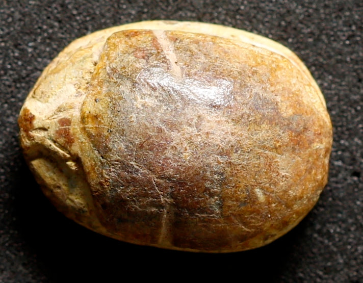Artefato Egípcio Escaravelho de Esteatite da XIV Dinastia (circa 1805-1705 aC) – imagem 2