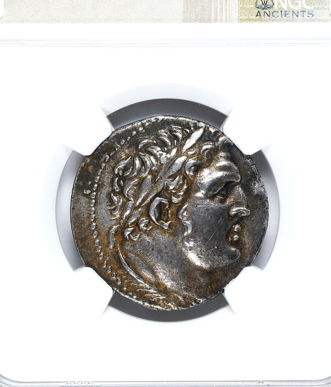Moeda Fenícia Shekel de Tiro (126/5 a 67/68 dC) Certificada NGC XF – imagem 4