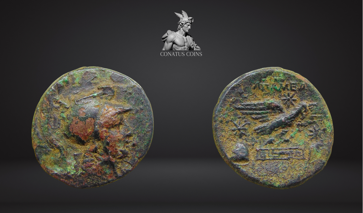 Moeda Grega da Apameia, Frígia (88-40 a.C.) – imagem 1