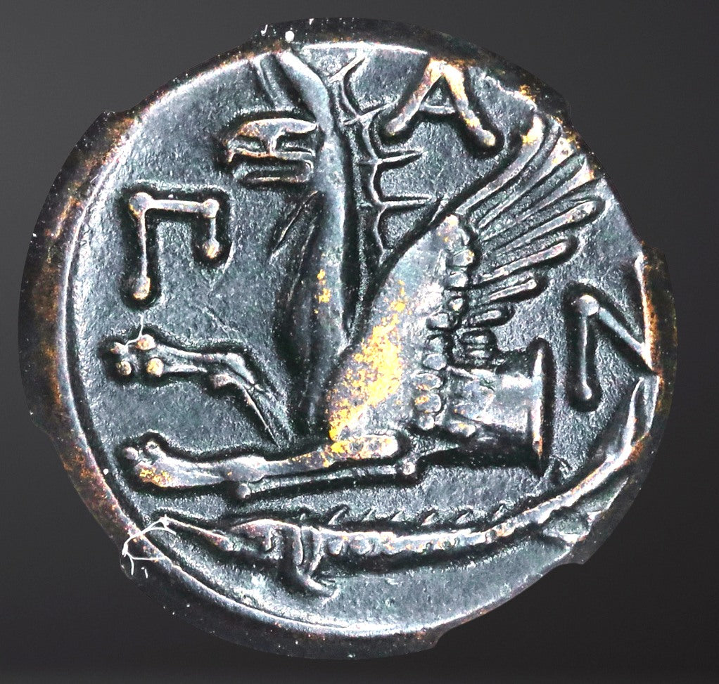 Moeda Grega escassa do Reino do Bósforo de Pantikapaion (310-304/3 a.C.) – imagem 1