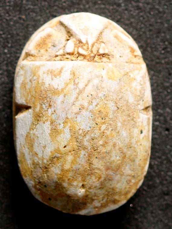 Artefato Egípcio Escaravelho de Esteatite da XIV Dinastia (circa 1805-1710 aC) – imagem 2