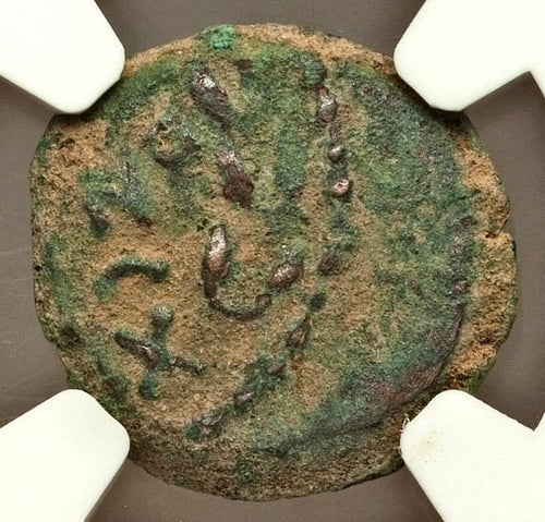 Moeda Bíblica Prutá de Porcius Festus sob Nero (59-63 dC) Certificada NGC – imagem 2