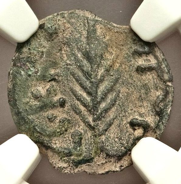 Moeda Bíblica Prutá de Porcius Festus sob Nero (59-63 dC) Certificada NGC – imagem 1