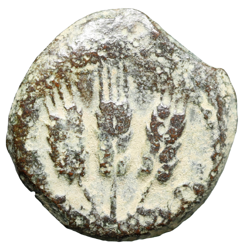 Moeda judia "Bíblica" de Agrippa I (37-43 CE). Dinastia Herodiana. – imagem 1