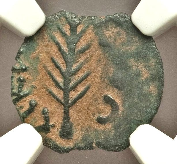 Moeda Bíblica Prutá de Porcius Festus sob Nero (59-63 dC) Certificada NGC – imagem 1
