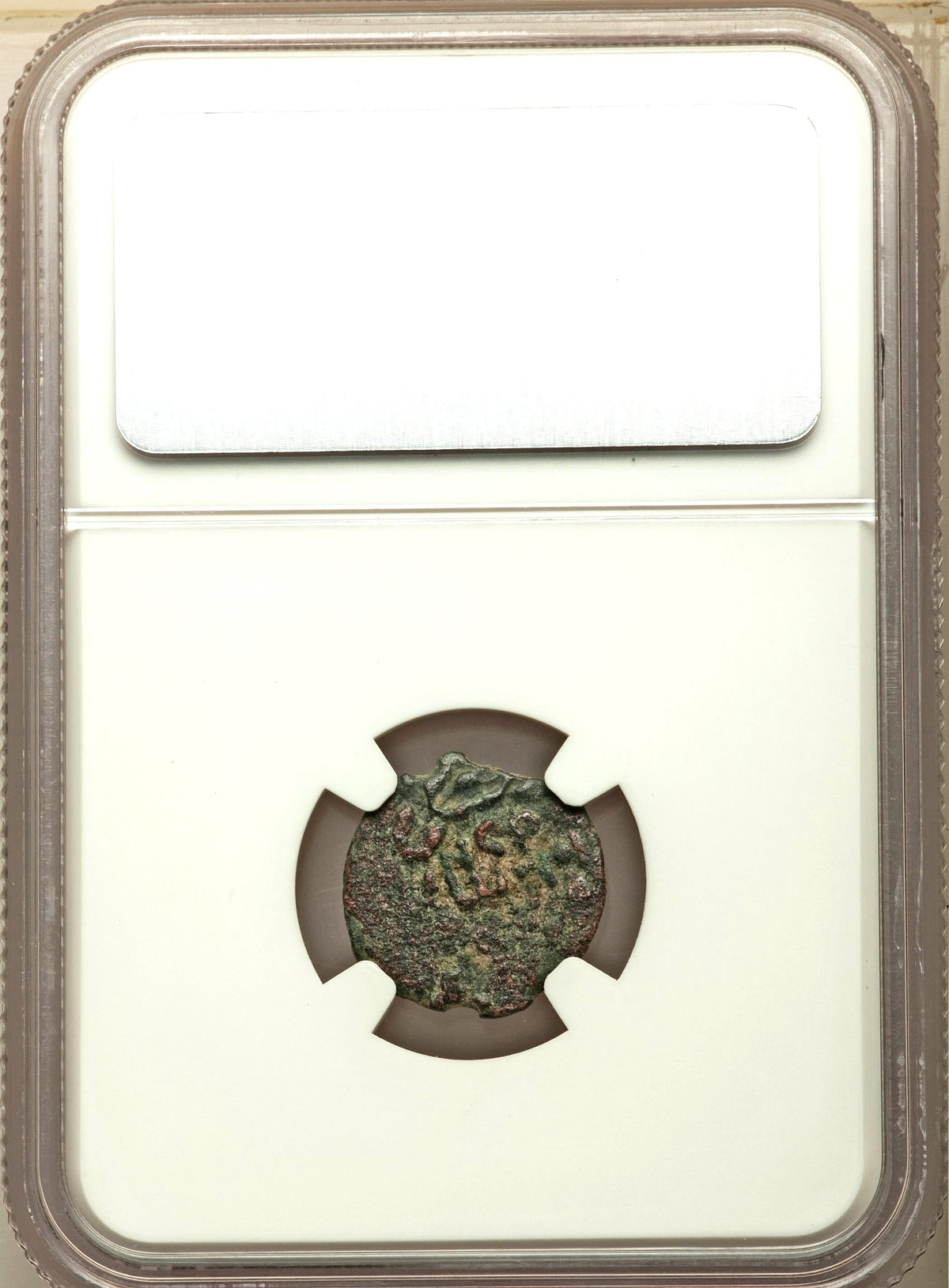 Moeda Bíblica Prutá de Porcius Festus sob Nero (59-63 dC) Certificada NGC – imagem 4
