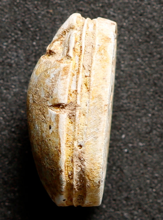 Artefato Egípcio Escaravelho de Esteatite da XIV Dinastia (circa 1805-1710 aC) – imagem 3