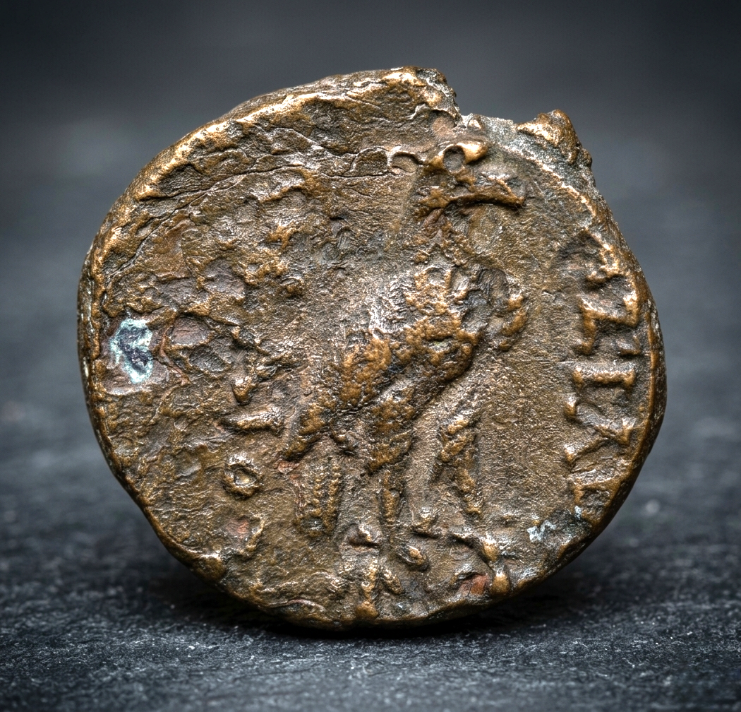 Moeda Grega do Reino Selêucida de Achaios (usurpador, 220-214 aC) – imagem 2