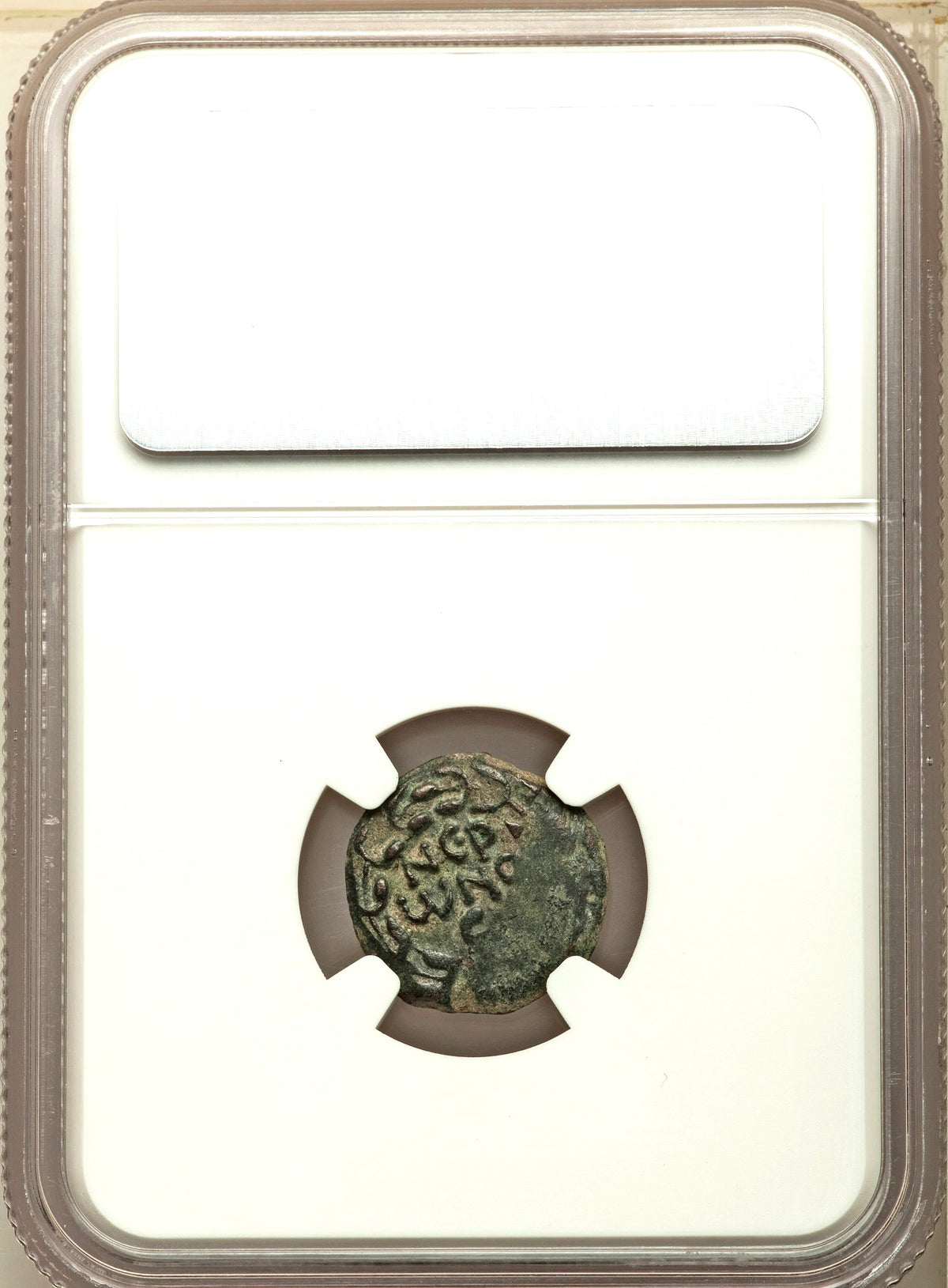 Moeda Bíblica Prutá de Porcius Festus sob Nero (59-63 dC) Certificada NGC – imagem 4
