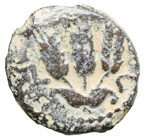 Moeda judia "Bíblica" de Agrippa I (37-43 CE). Dinastia Herodiana. – imagem 1