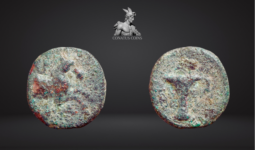 Moeda grega de Aiolis Kyme (250-200 aC) – imagem 1