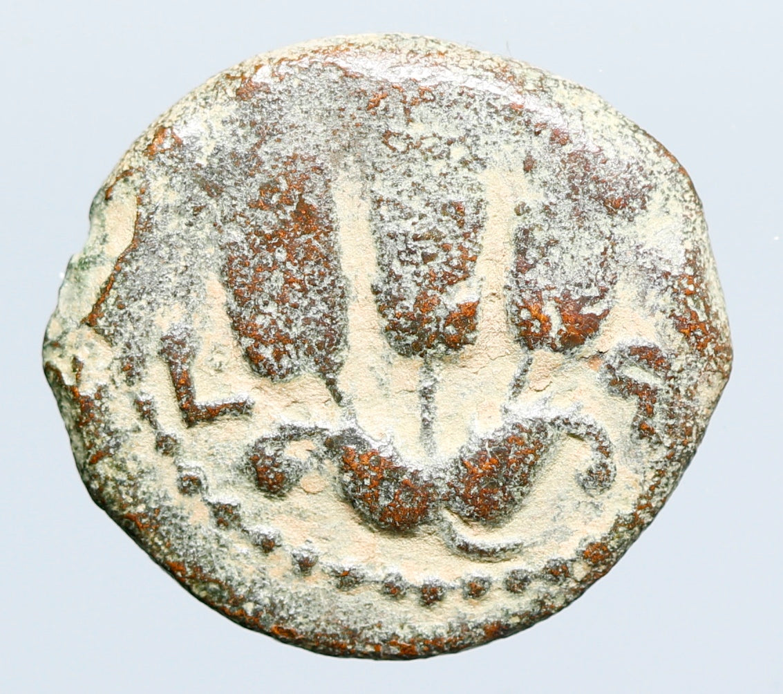 Moeda judia "Bíblica" de Agrippa I (37-43 CE). Dinastia Herodiana. – imagem 2