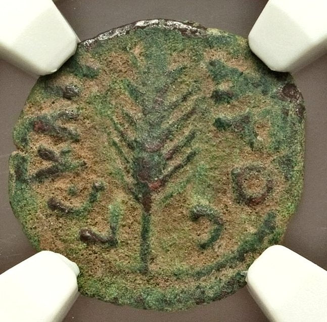 Moeda Bíblica Prutá de Porcius Festus sob Nero (59-63 dC) Certificada NGC – imagem 1