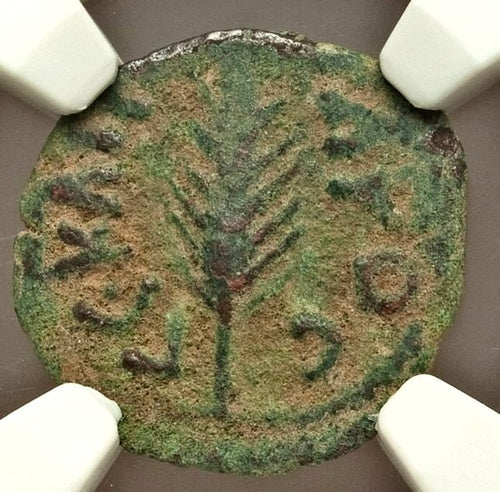 Moeda Bíblica Prutá de Porcius Festus sob Nero (59-63 dC) Certificada NGC – imagem 1