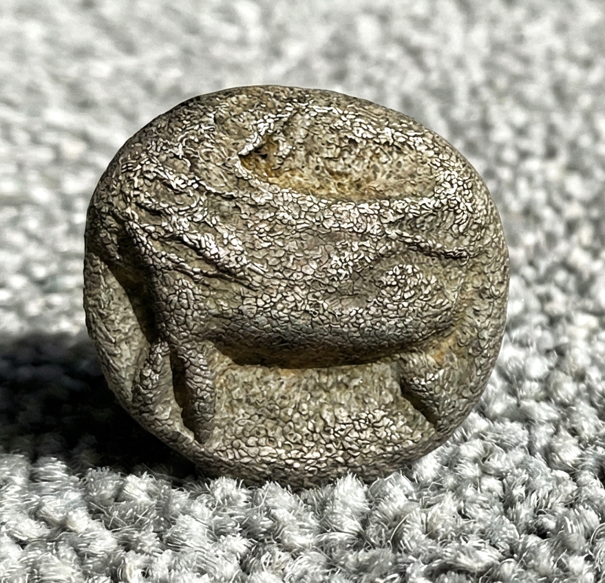 Moeda Grega Raro tetartemorion de Teos, Ionia (c. 470–450 aC) – imagem 3