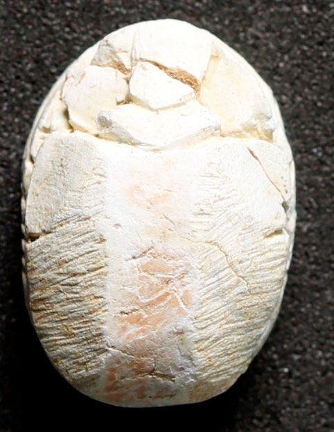 Artefato Egípcio RARO Escaravelho de Esteatite período entre Tutemés IV e Amenófis III, O Magnífico (circa 1400 aC) – imagem 