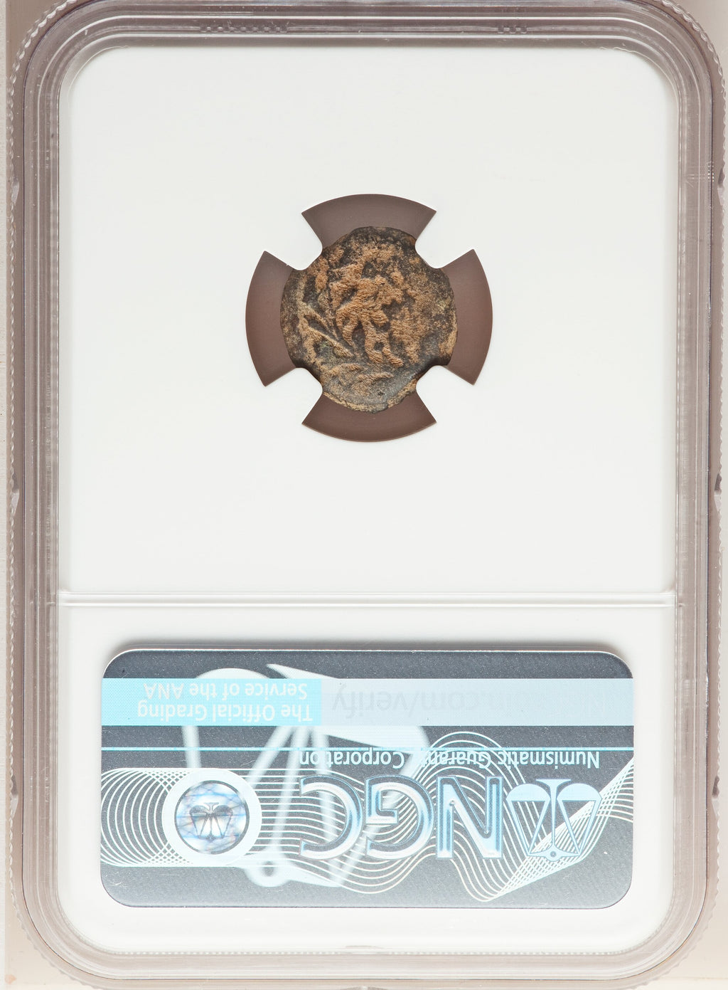 Moeda Bíblica de Pôncio Pilatos da Judaea (31 dC) Certificada NGC – imagem 2